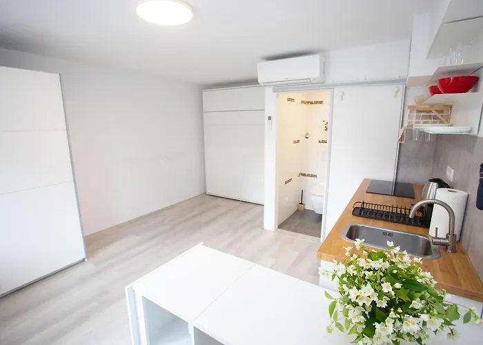 Apartment Studio Green شقة ليوبليانا