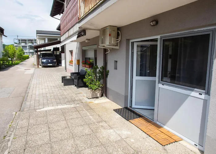 Apartment Apartment Studio Green